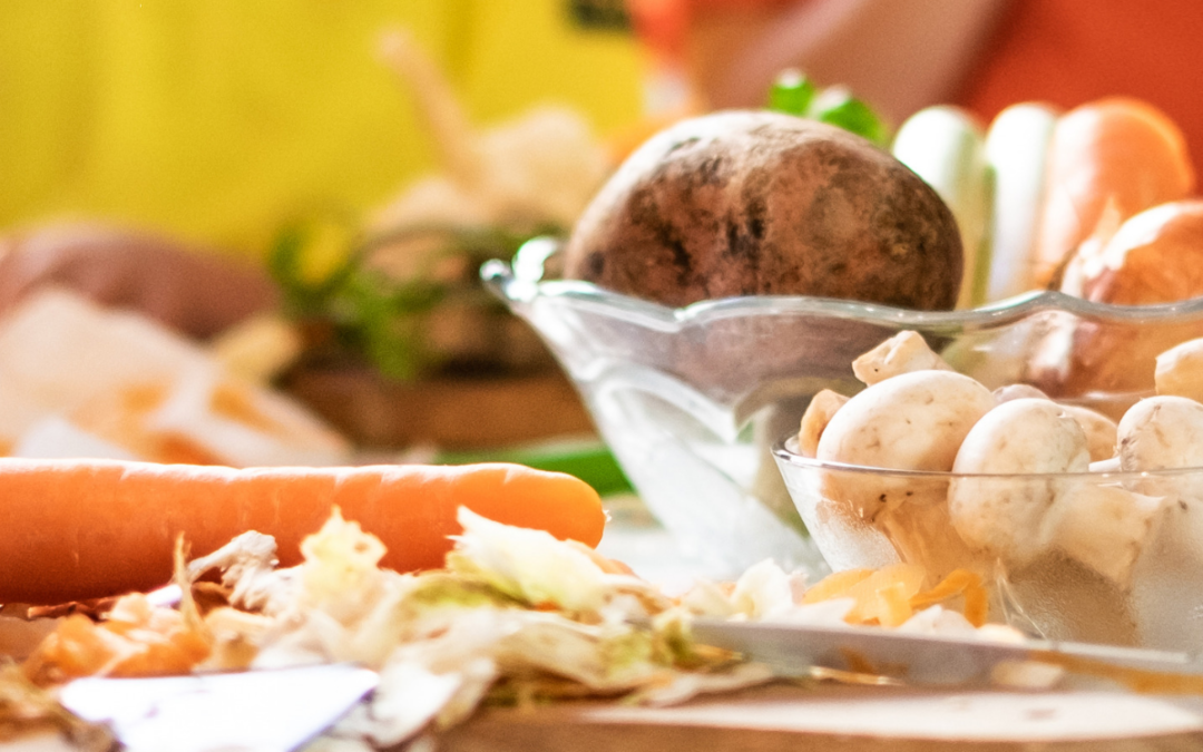 Vegane Ernährung für Kinder mit Dr. Anastasia Pyanova