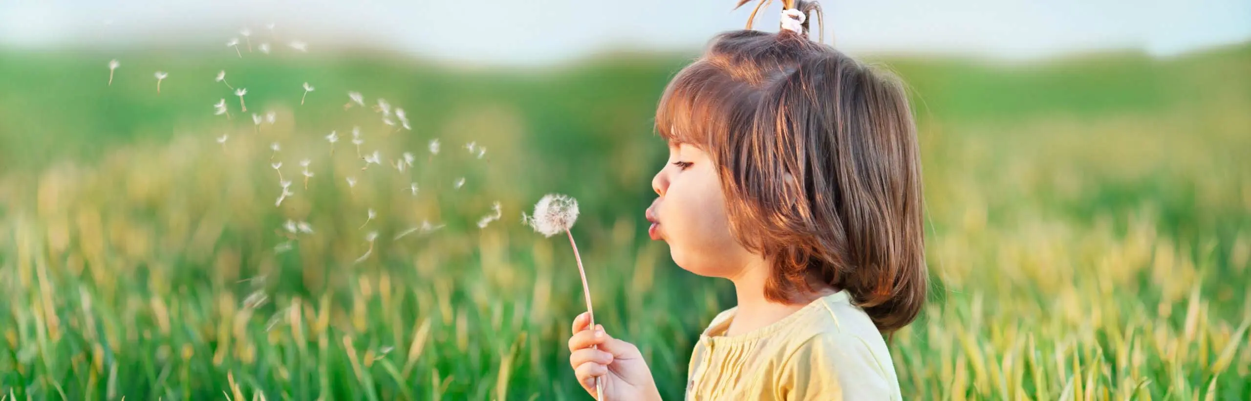 image 168 1 scaled 1