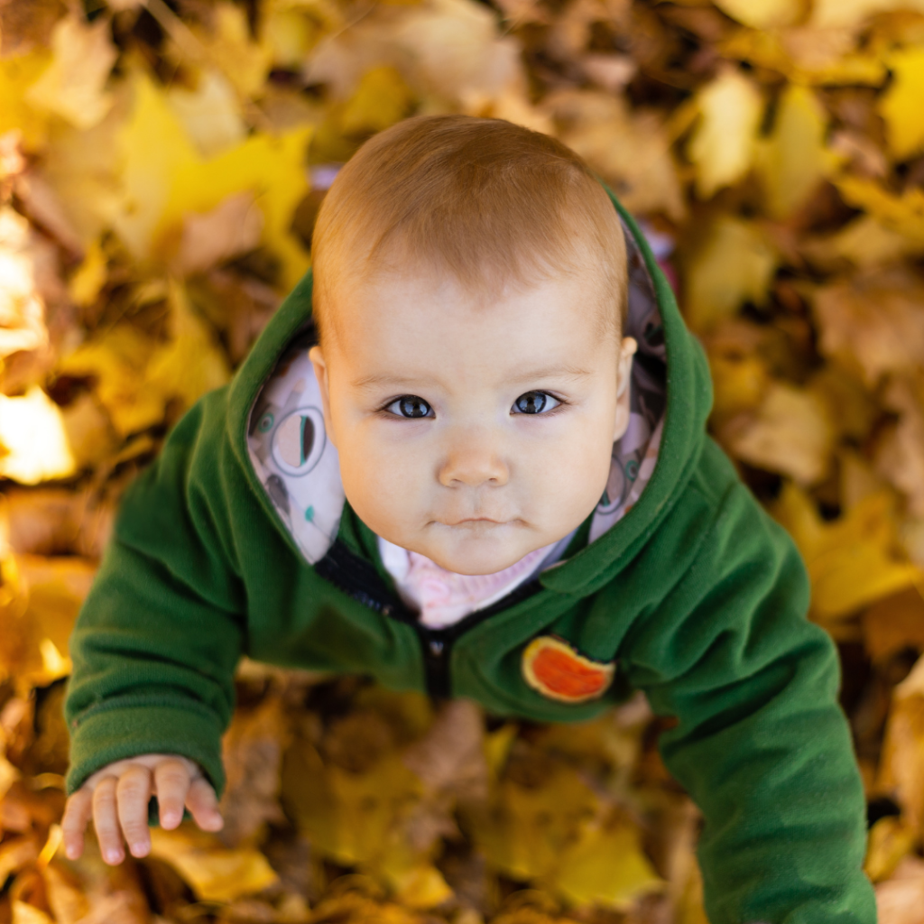 Ein Kleinkind schaut hoch in die Kamera. Das Kleinkind trägt eine grüne Kapuzenjacken. Im Hintergrund befinden sich gelbe und braune Blätter.