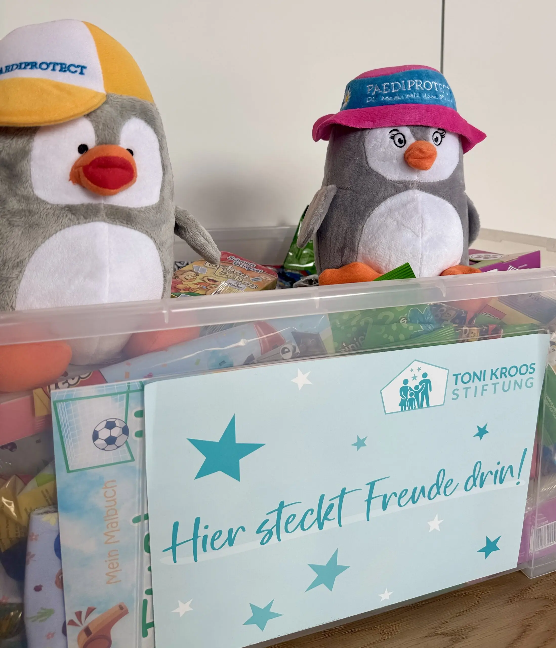 two stuffed penguins in a plastic container