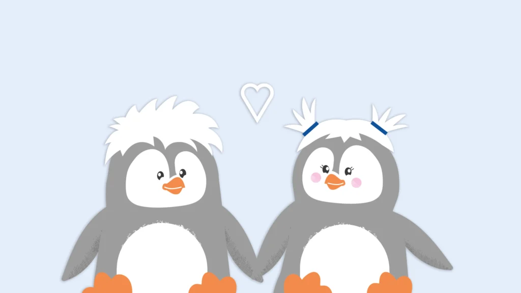 Paediprotect Pauli & Pauline Zubehör